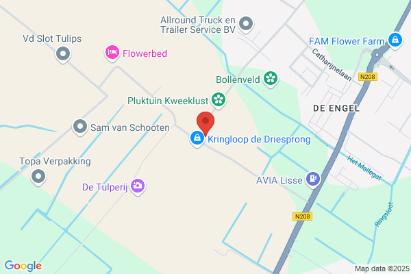 Haase En J J F M Brinkmann, F g w M