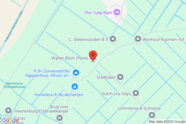 Blom En Zn Bv, Walter