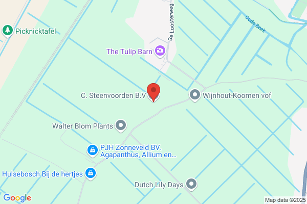 Steenvoorden Bv, C