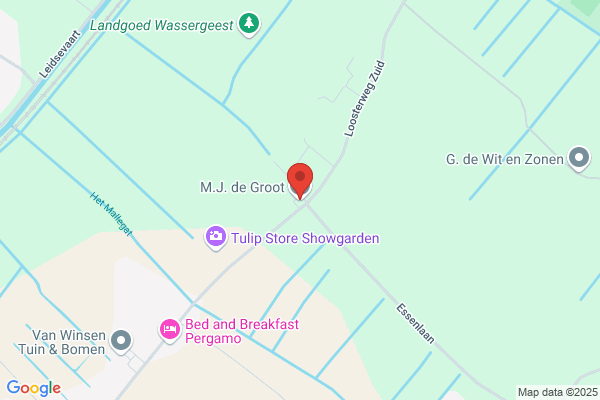 Groot Vof, Edwin De