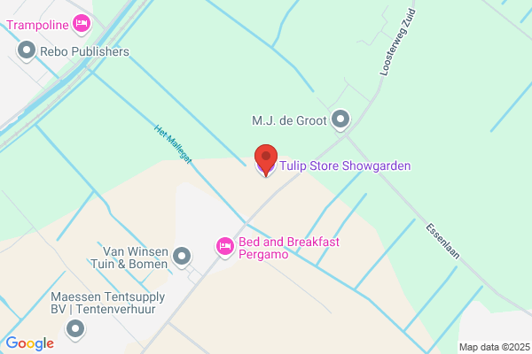 Salm en Zoon C W van der