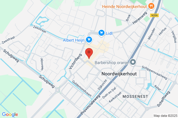 W. Van Der Niet