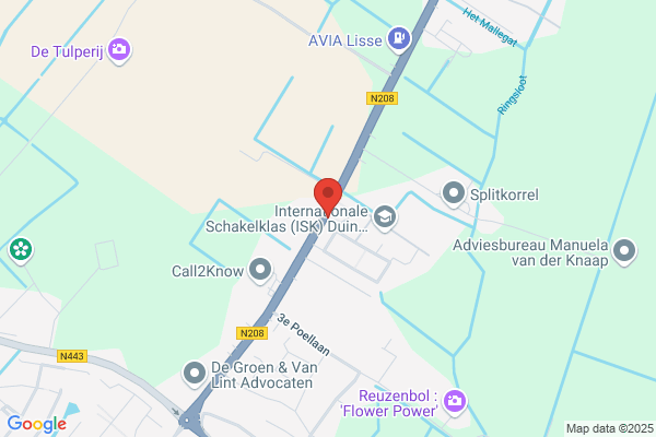 Artisjok, De