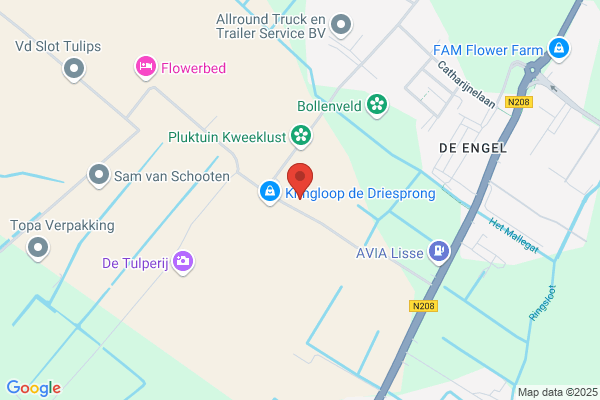 Hollandsche Export Maatschappij Bv
