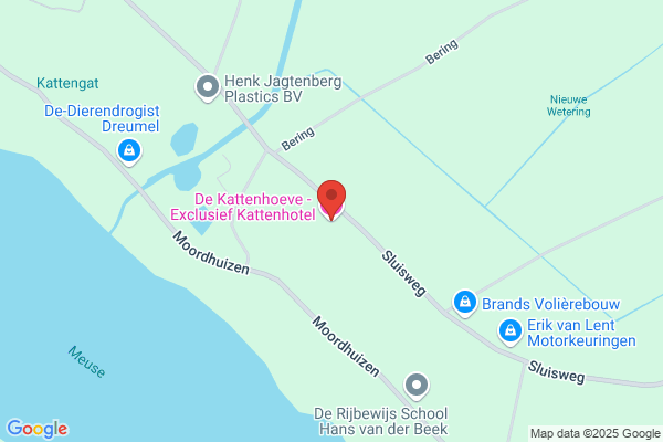 Exclusief kattenhotel de Katten Hoeve