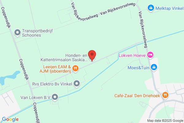 Honden- En Kattentrimsalon Saskia