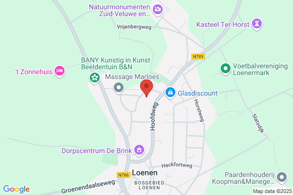 Politie Loenen - Loenerdrift