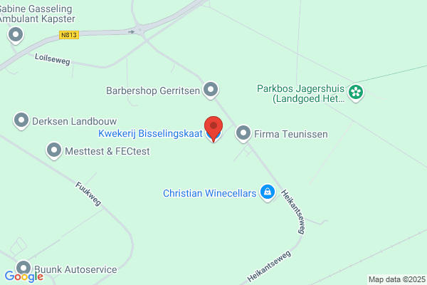 Bisselingskaat