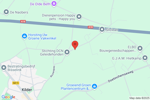 F J Gasseling Paardenhandel