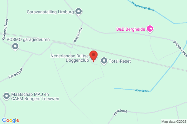 Nederlandse Duitse Doggenclub