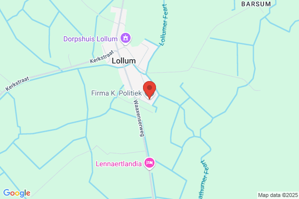 Firma Politiek En Zoon