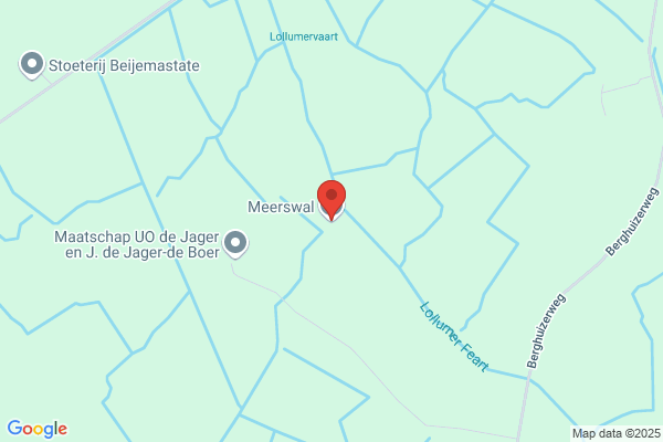 Meerdink, J W