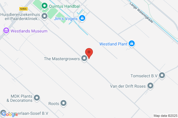 Bloemenhuis Kwekerij Van Der Weide