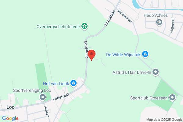 Hendriks, Jan