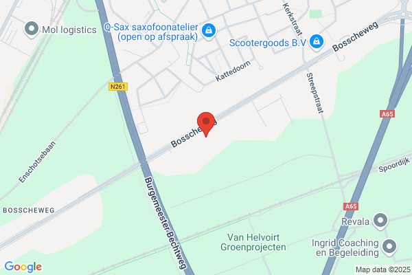 Baelemans Management Bv