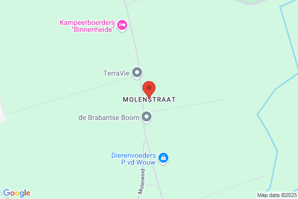 Bron, De