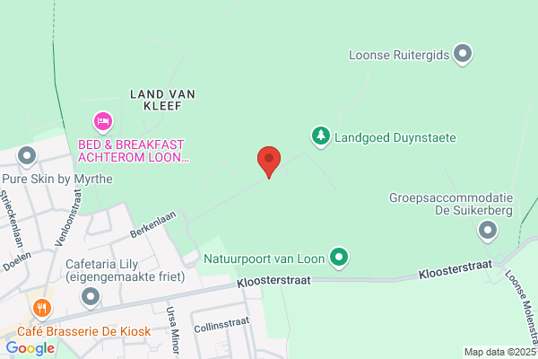 Koningsbruggen, A P R M Van