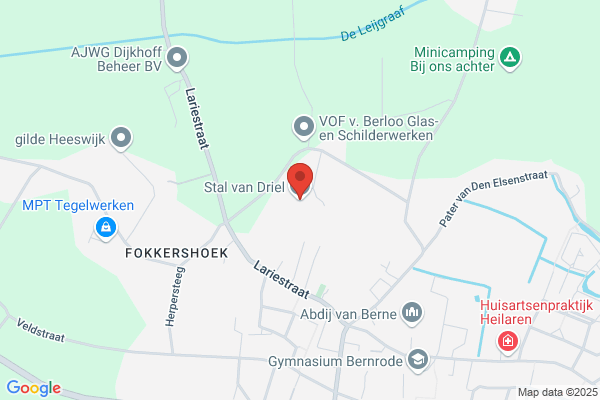 Paardenhandel Hein Van Driel