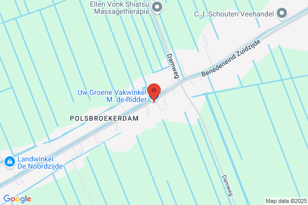 Ridder M de