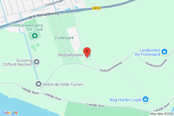 Th van den Hoven Schilderwerken