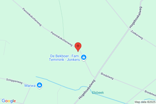 Elshoff, Jan