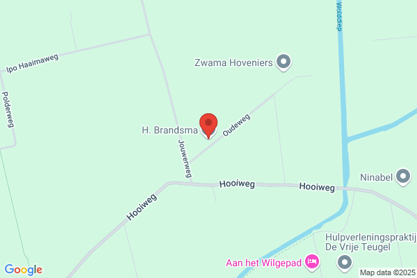 Brandsema