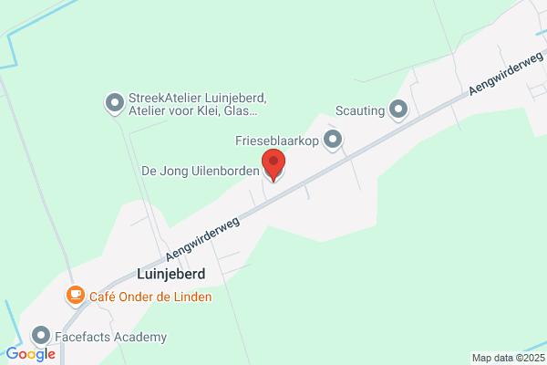 Jong, De