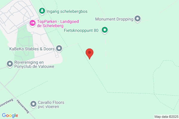 Bloemink Bv