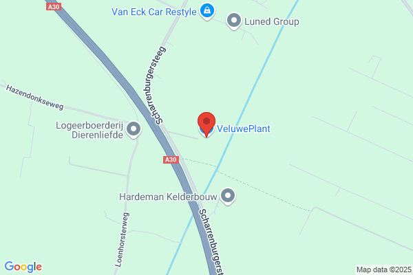 Gelderse Roos, De