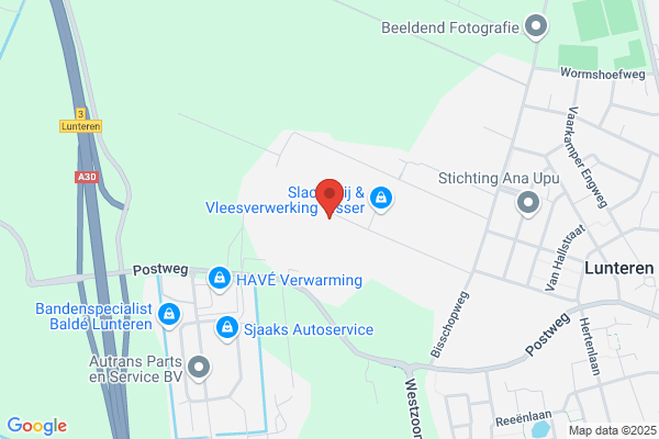 Mark van 't Foort