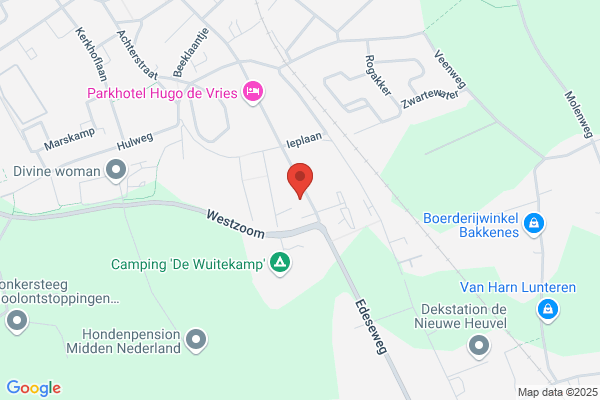 Dijk, Boomverzorging Van