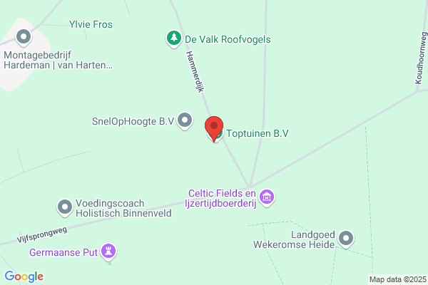In 't Groen