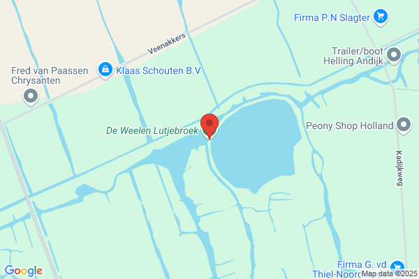 Laan