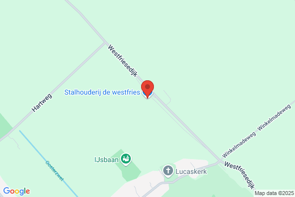 Stalhouderij de westfries