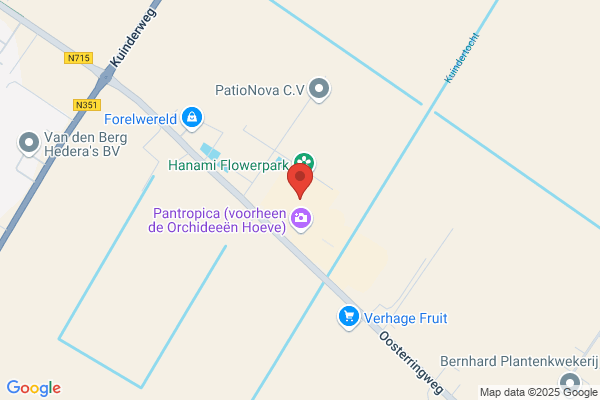 Cabbar
