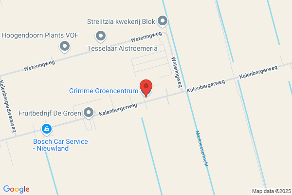 Damstra