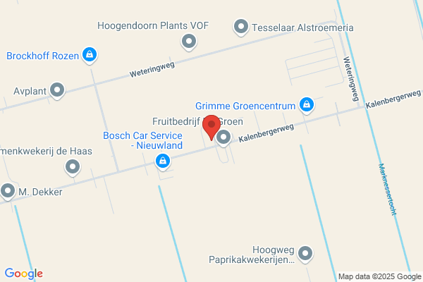 Bloemen Express Nop