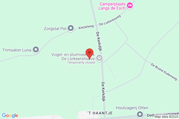 J Van Dijk