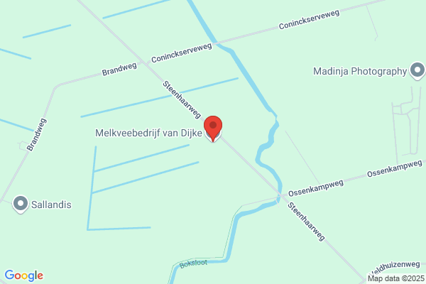 Firma Van Dijke