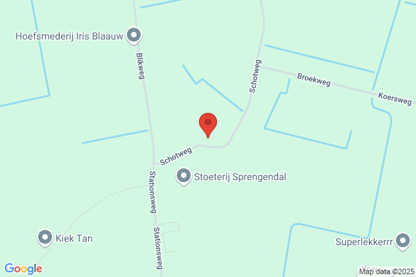 Pompoen