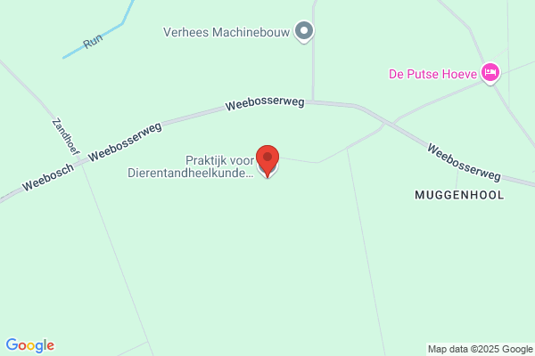 Praktijk voor Dierentandheelkunde Bergeijk