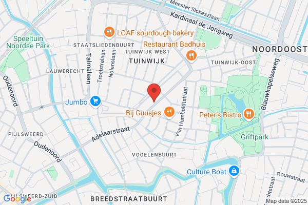 Rijschoolvlam