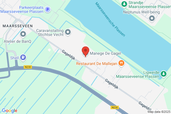Gagel, De