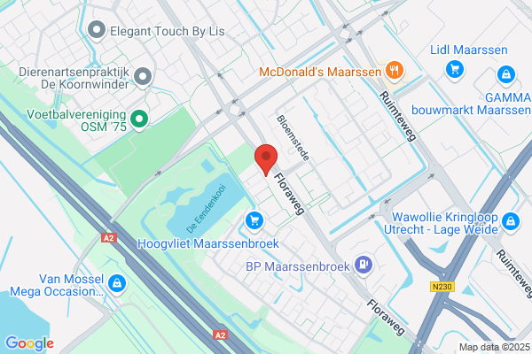 Van Maanen Training & Advies