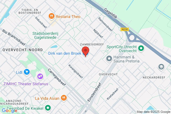 Dirk van den Broek