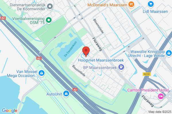 Hoogvliet
