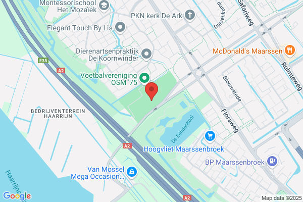 Vechtstroom, De