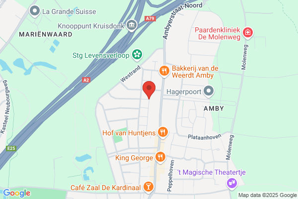 Braakhuis, T