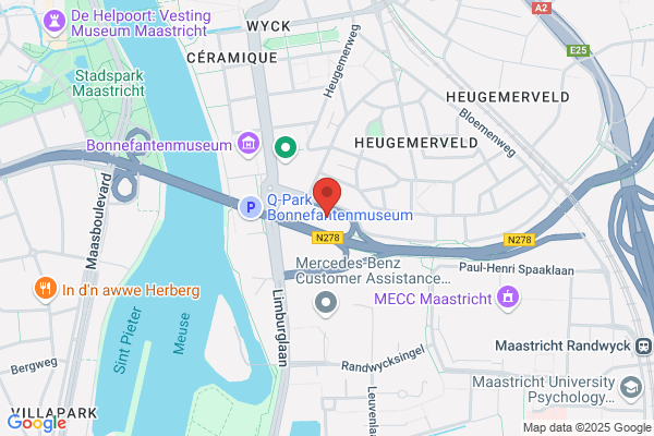De Aalscholver
