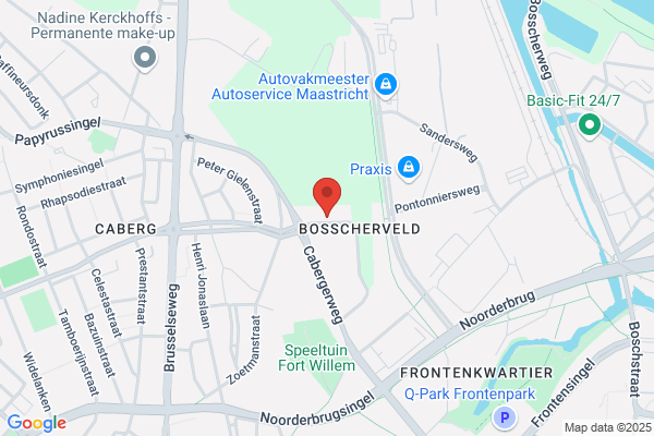 Nijhuijs, P